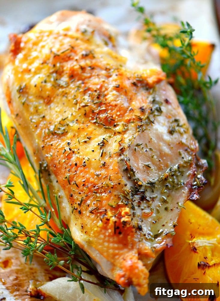 Close-up of the seasoned turkey breast with orange and onion slices, ready for roasting.