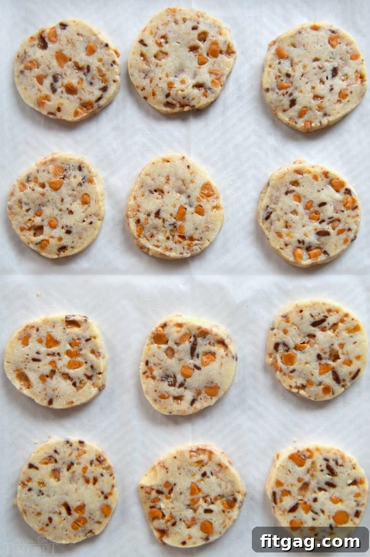 Freshly baked butterscotch shortbread cookies cooling on parchment paper on a baking sheet, golden and perfectly formed.