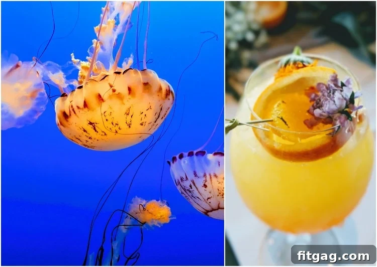 inside the Monterey Bay Aquarium