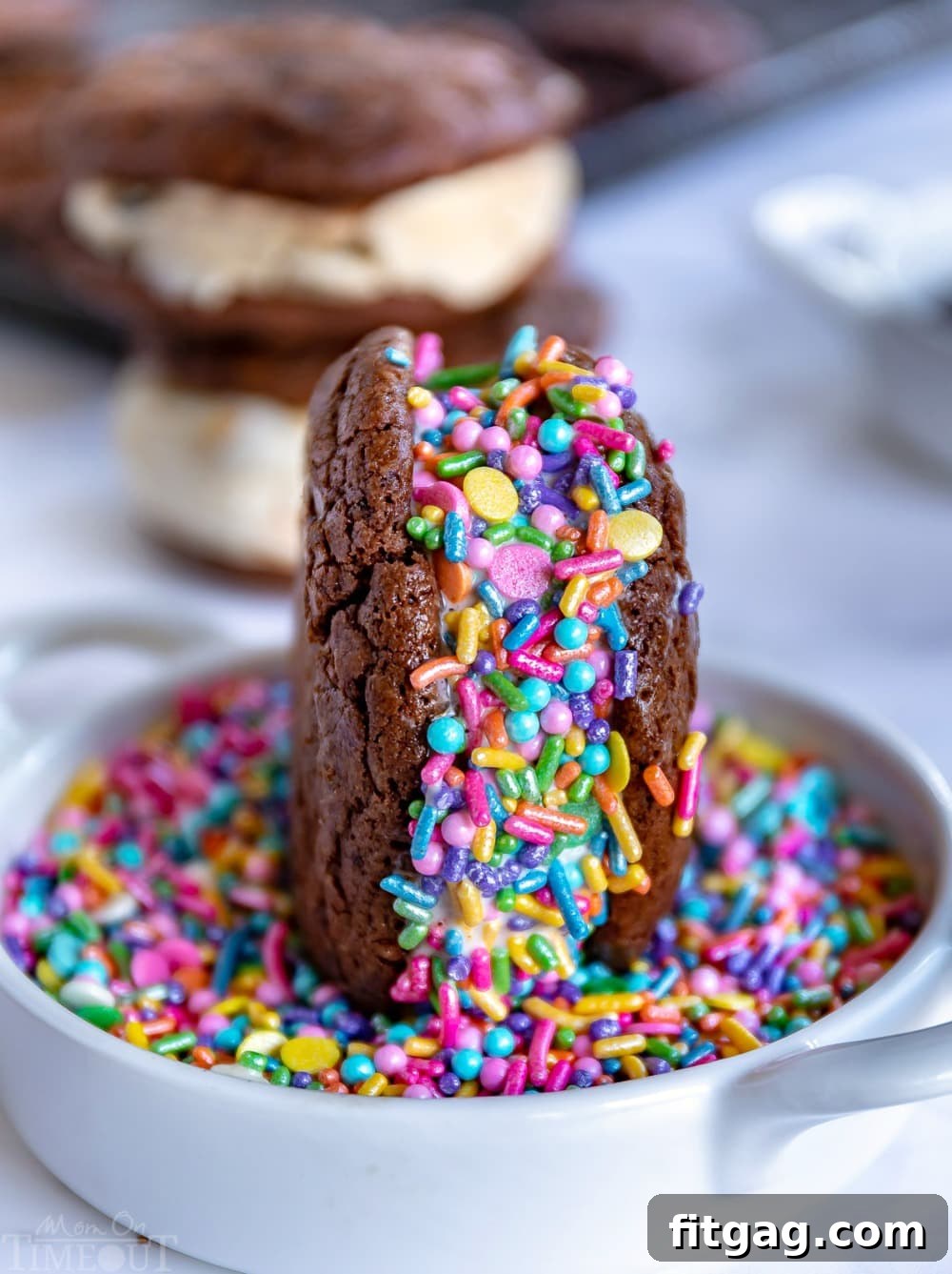 A finished homemade ice cream sandwich rolled in colorful sprinkles, showcasing its festive and delicious appearance.