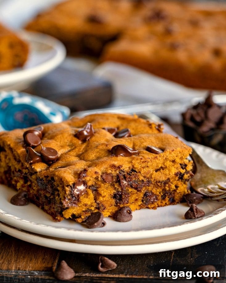 Slice of moist pumpkin cake with chocolate chips on a white plate