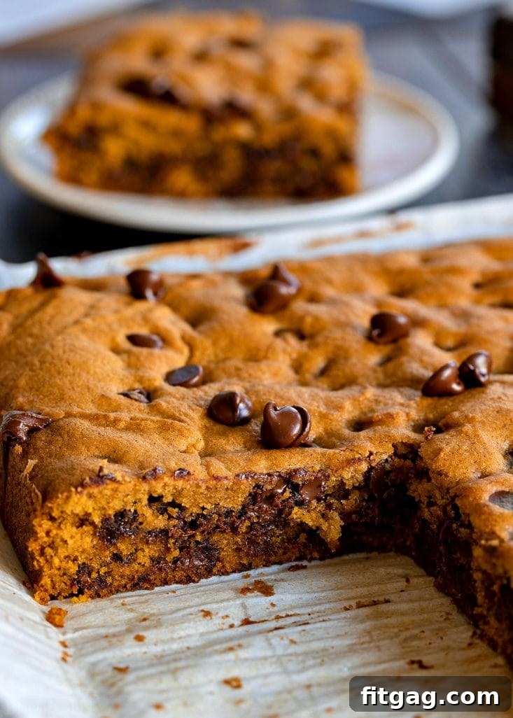 Top-down view of a baked pumpkin cake with a piece removed