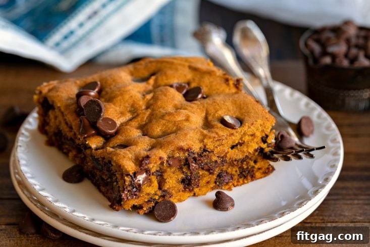 Close-up of a spiced pumpkin cake with melted chocolate chips