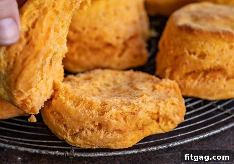 Tender and delicious southern sweet potato biscuits, ideal for any meal or holiday gathering Sweet potato biscuits cooling on a rack, showing their delicate texture and golden-brown crust