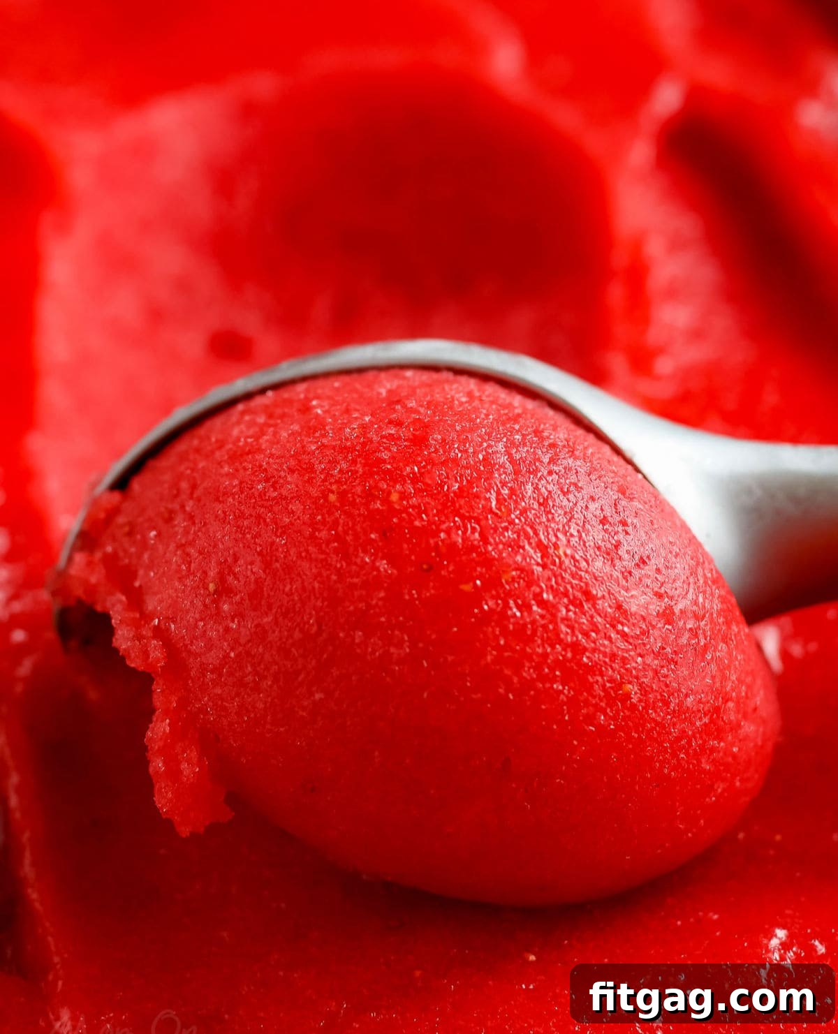 Ruby Frost 4 A scoop of rich, red strawberry sorbet being lifted from a container with an ice cream scoop, showcasing its smooth texture.