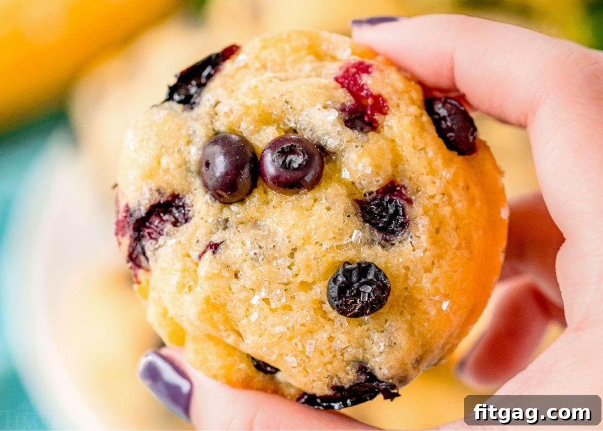 Golden Blueberry Cornbread Muffins 3 Hand holding a freshly baked blueberry corn muffin