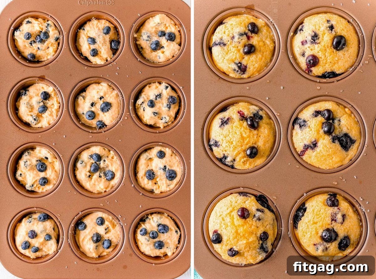 Golden Blueberry Cornbread Muffins 8 Corn muffins in a muffin pan; the left side shows batter, and the right shows six baked muffins