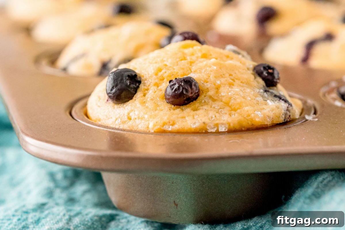 Golden Blueberry Cornbread Muffins 9 Close-up of a corn muffin in a muffin tin with a blue napkin underneath the pan