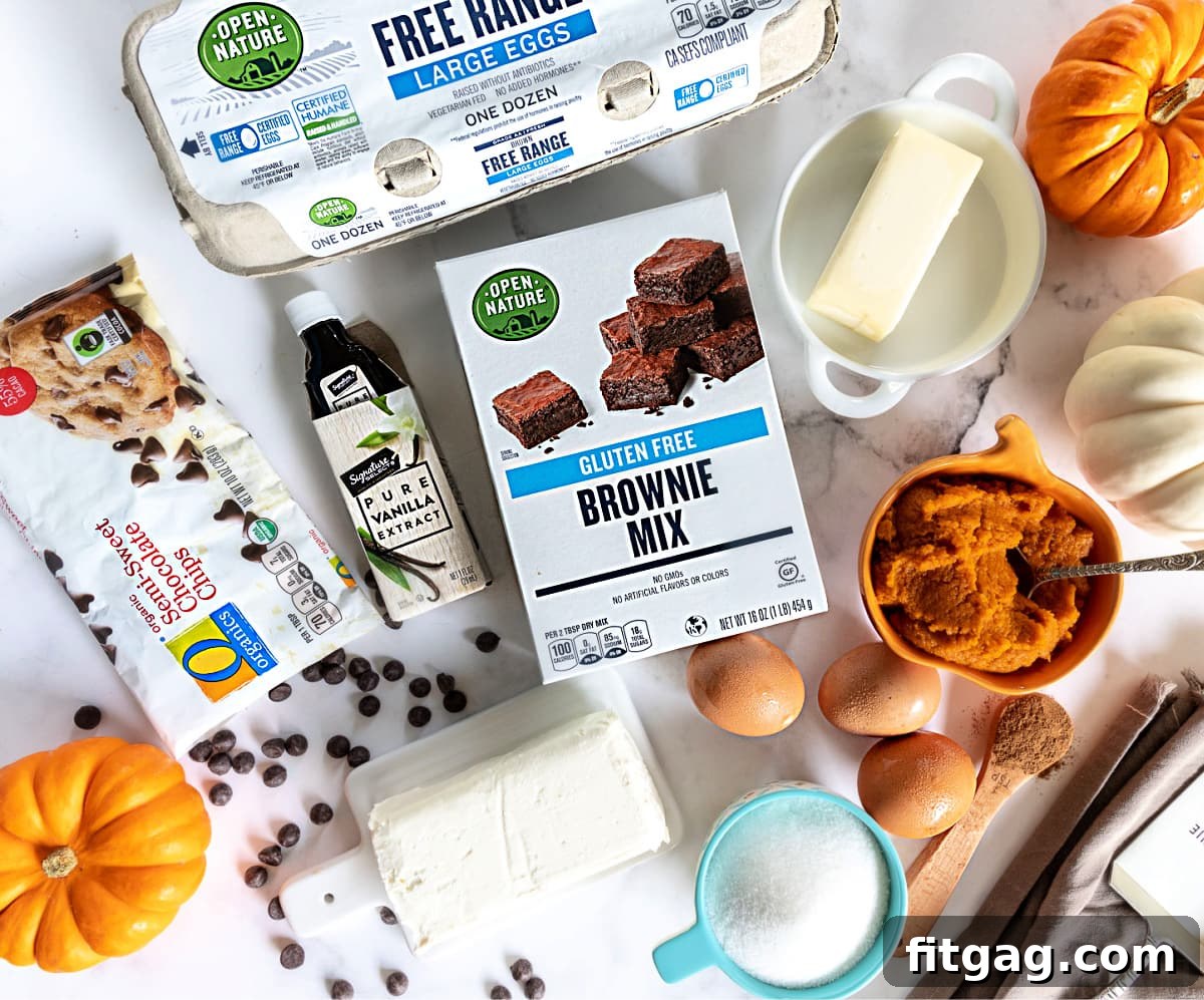 Top-down view of pumpkin brownies ingredients laid out on a marble surface.