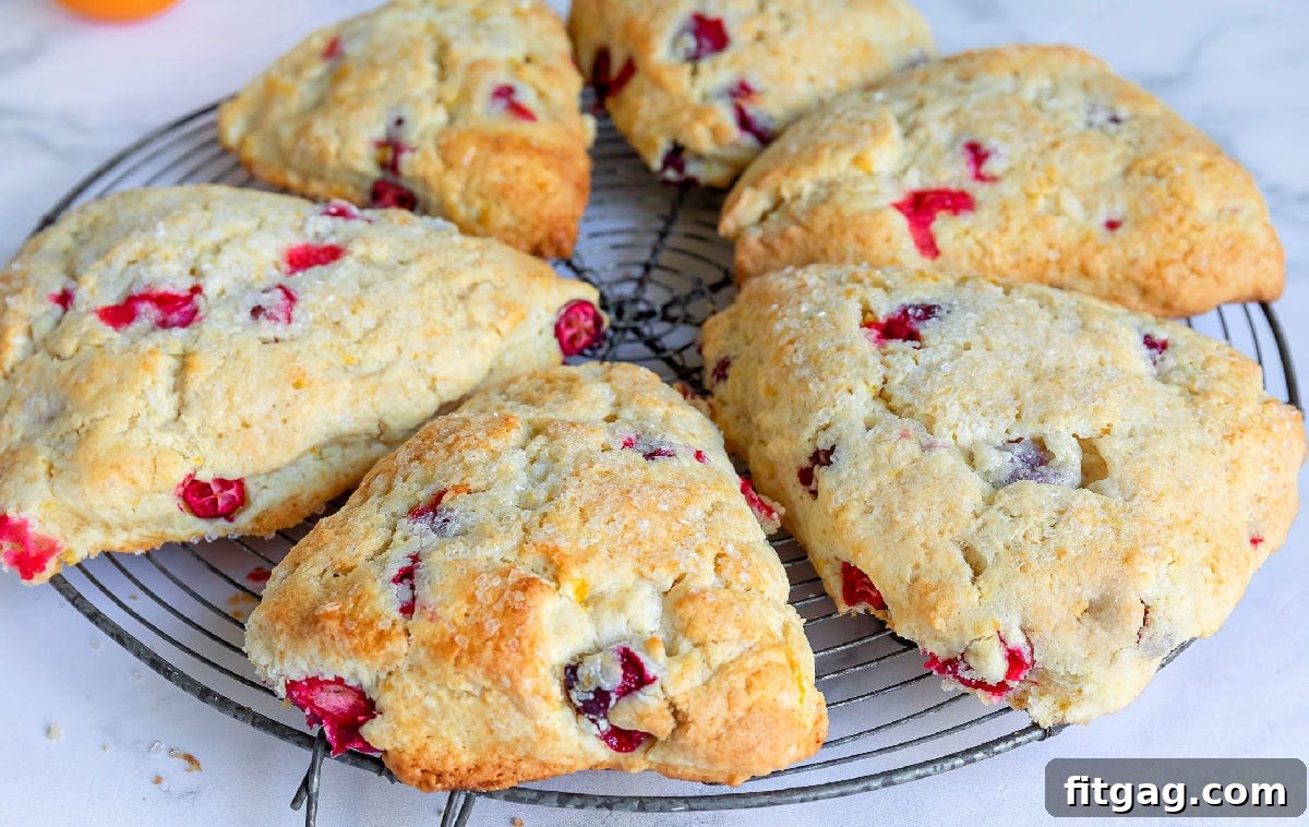 Zesty Cranberry Orange Scones 4 6 cranberry orange scones on cooling rack