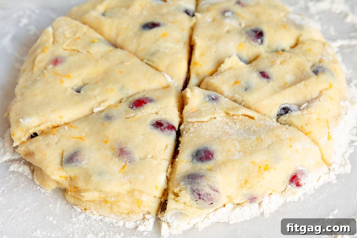 Zesty Cranberry Orange Scones 5 cranberry orange scones dough cut into wedges on marble surface