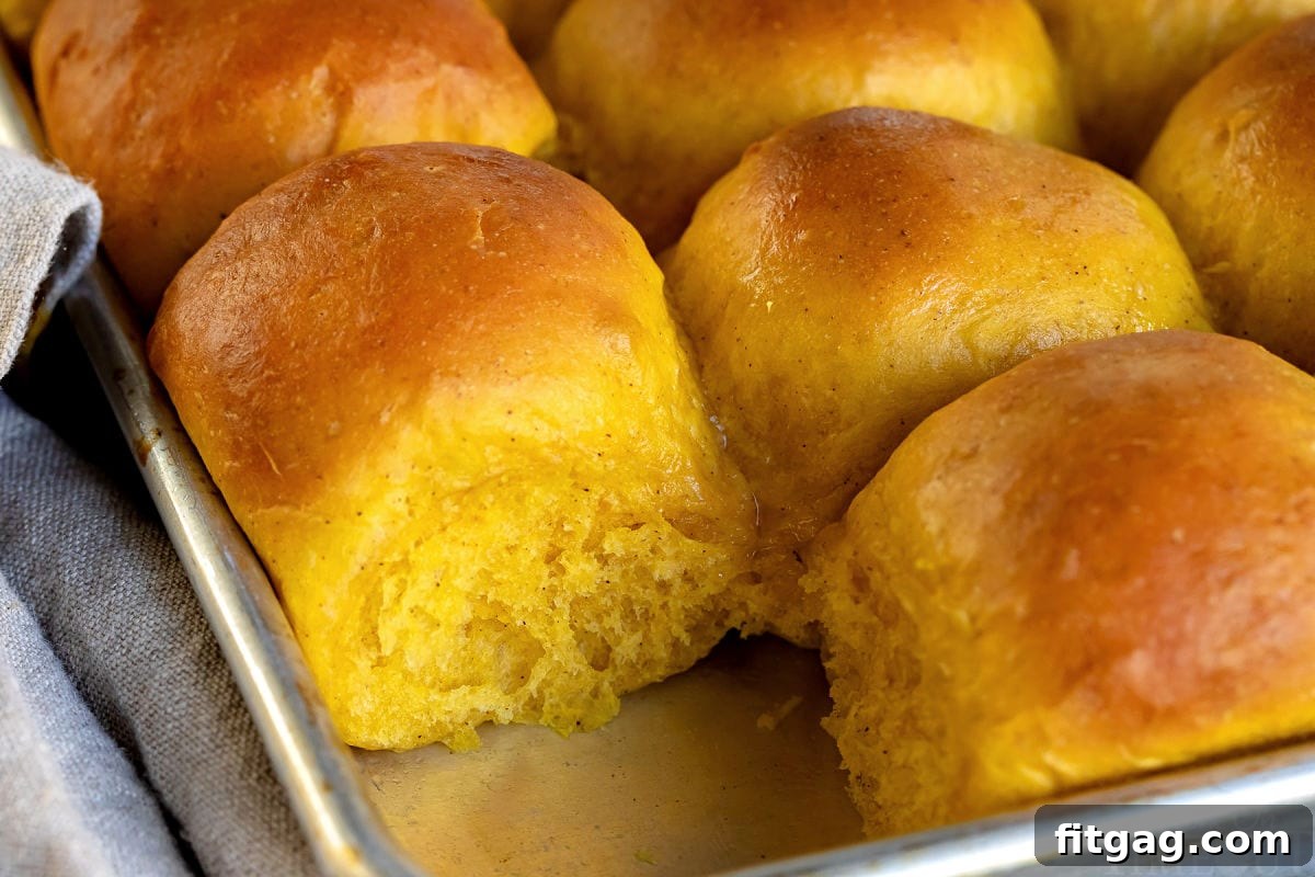 pumpkin dinner rolls baked in sheet pan with one removed