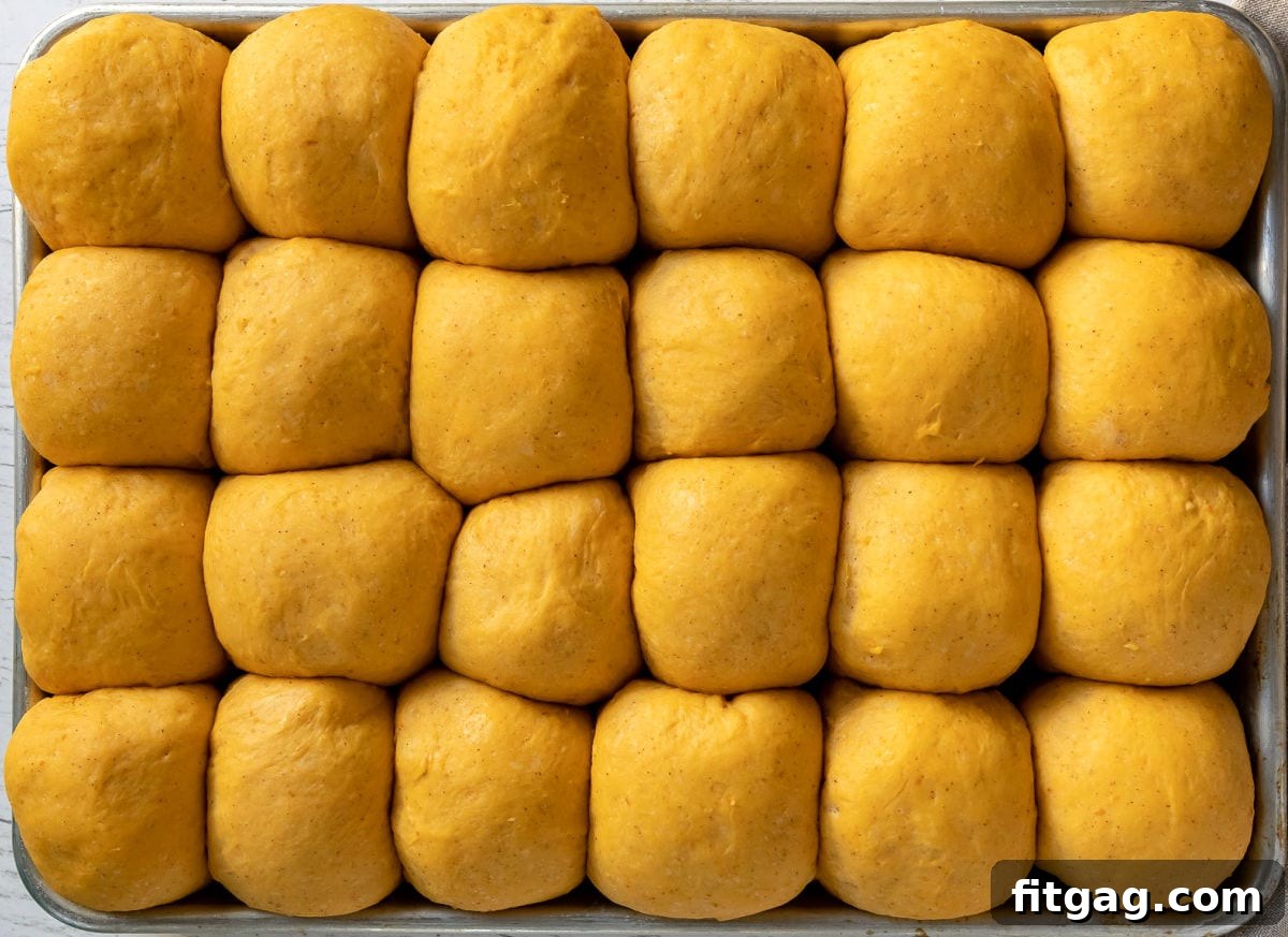 second rise pumpkin dinner rolls in sheet pan