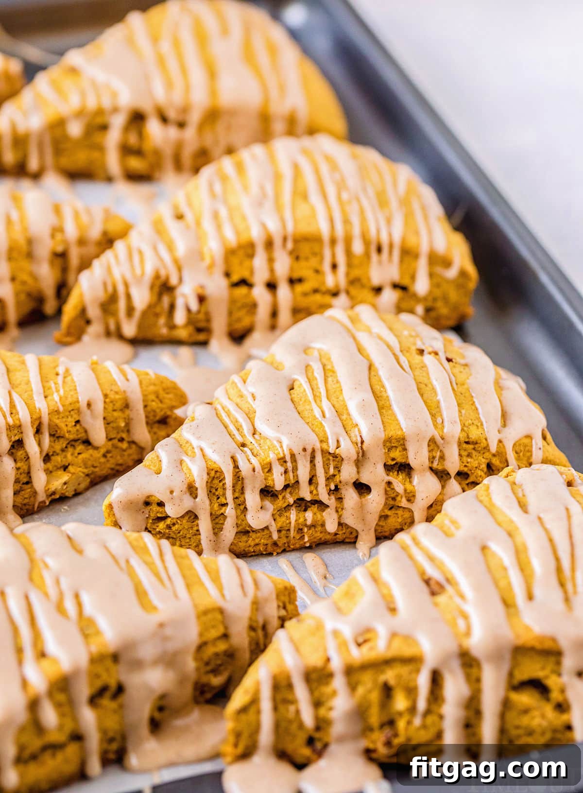 Freshly baked pumpkin scones arranged on a baking sheet, adorned with a delicate drizzle of maple glaze.