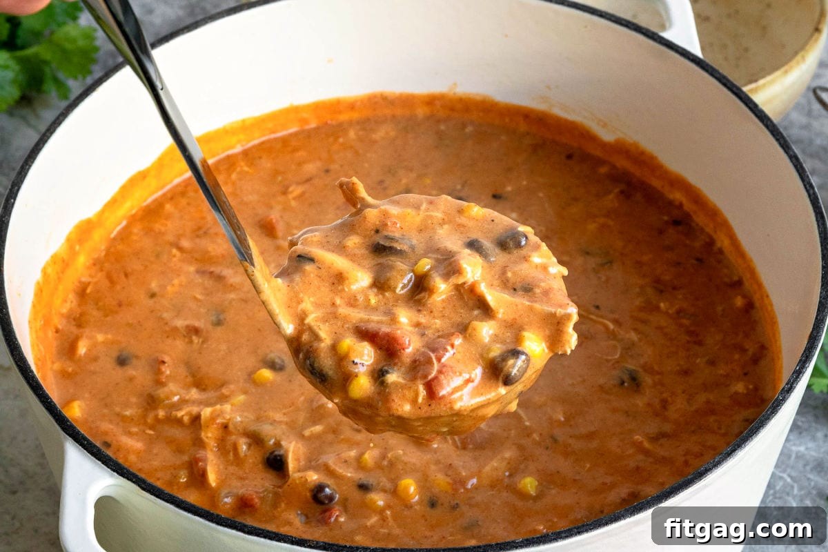 A ladle full of rich, creamy chicken enchilada soup being held above the pot, showcasing its inviting texture.