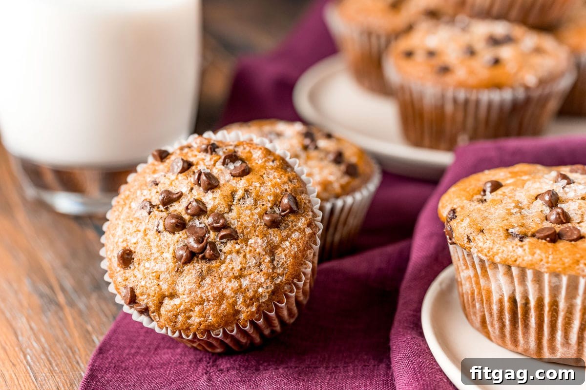 Effortless Chocolate Chip Muffins 4 A rustic arrangement of chocolate chip muffins scattered on a white plate, accompanied by a burgundy napkin and a refreshing glass of milk in the background.