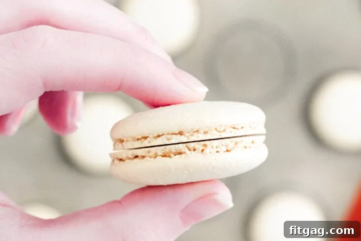 two macaron shells of the same size being held up.