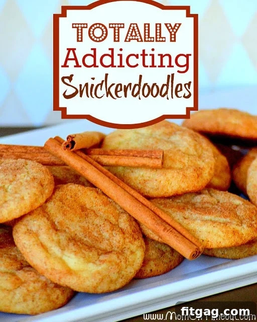 An inviting image showcasing 'The BEST Snickerdoodle recipe!' from MomOnTimeout.com, perfect for social sharing and inspiring bakers.