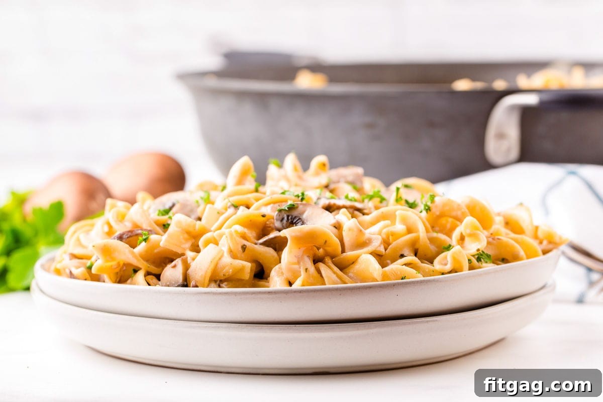 two plates stacked with mushroom stroganoff and skillet in background.