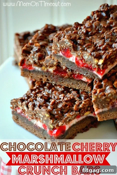 Decadent Chocolate Cherry Marshmallow Crunch Bars