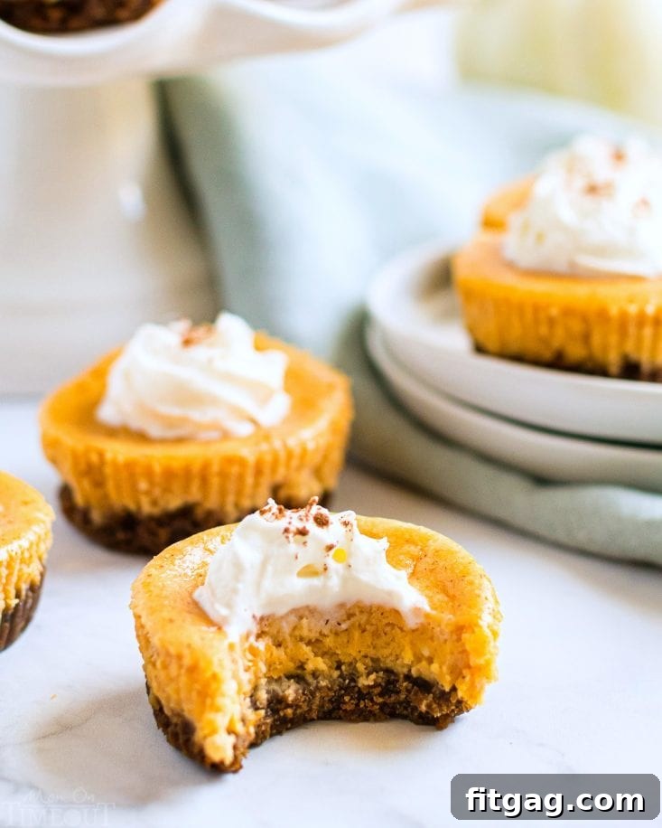 A mini pumpkin cheesecake with a bite taken out, revealing its creamy texture and gingersnap crust