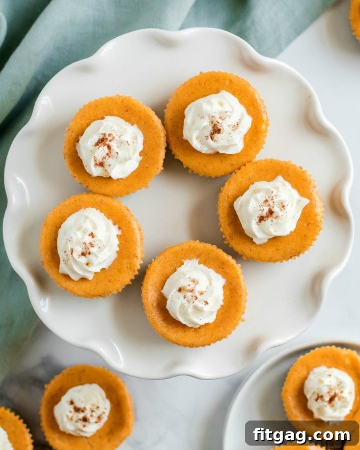 Top-down view of a beautifully baked pumpkin cheesecake, showcasing its smooth surface