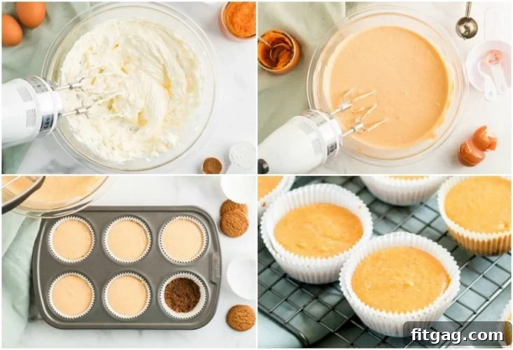 Step-by-step image showing how to make pumpkin cheesecake with gingersnap crust