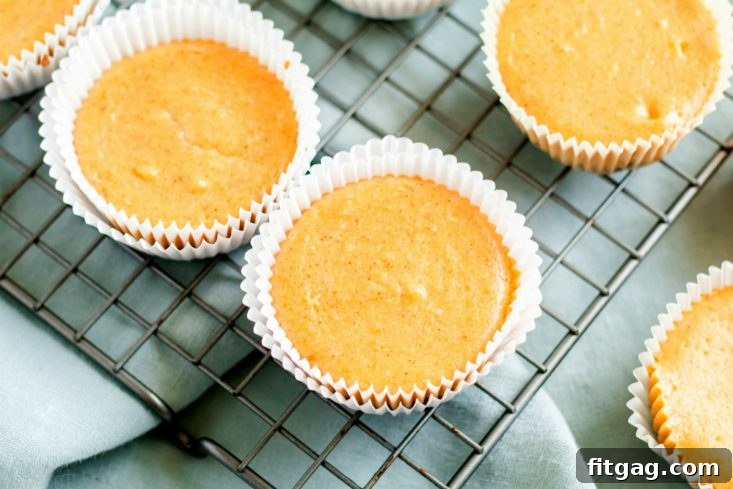 Mini pumpkin cheesecakes cooling on a wire rack after baking