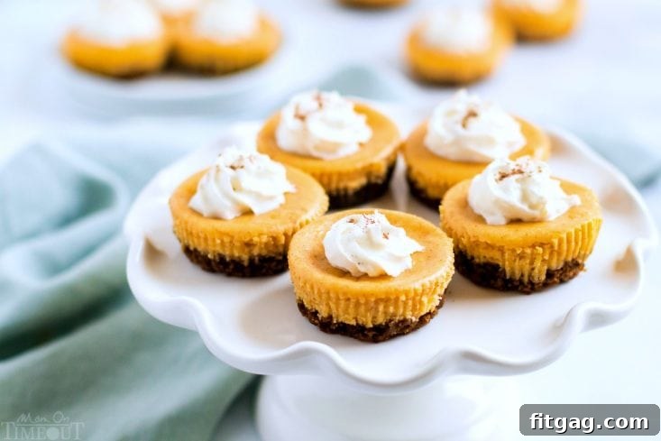 A beautifully garnished pumpkin cheesecake with gingersnap crust on a white cake stand