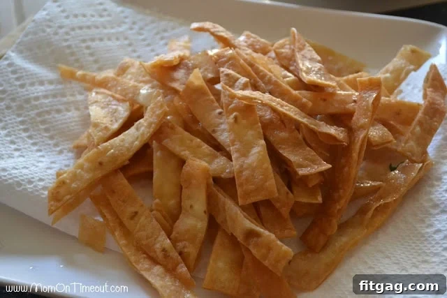 Homemade Tortilla Strips