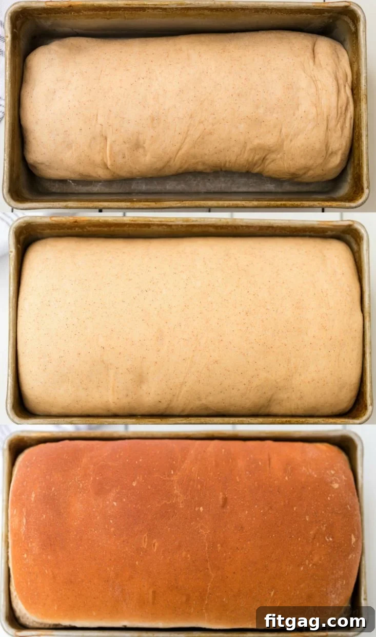 Homemade Cinnamon Bread is a thing of beauty and you'll never believe how easy it is to make! Homemade bread is always a special treat but when you add in swirls of cinnamon sugar? PERFECTION. Use the leftovers for French toast this weekend! Perfect for breakfast and brunch. // Mom On Timeout #cinnamonbread #bread #baking #cinnamon #breakfast #brunch #breadmaking cinnamon bread collage with bread raising and baked in pan