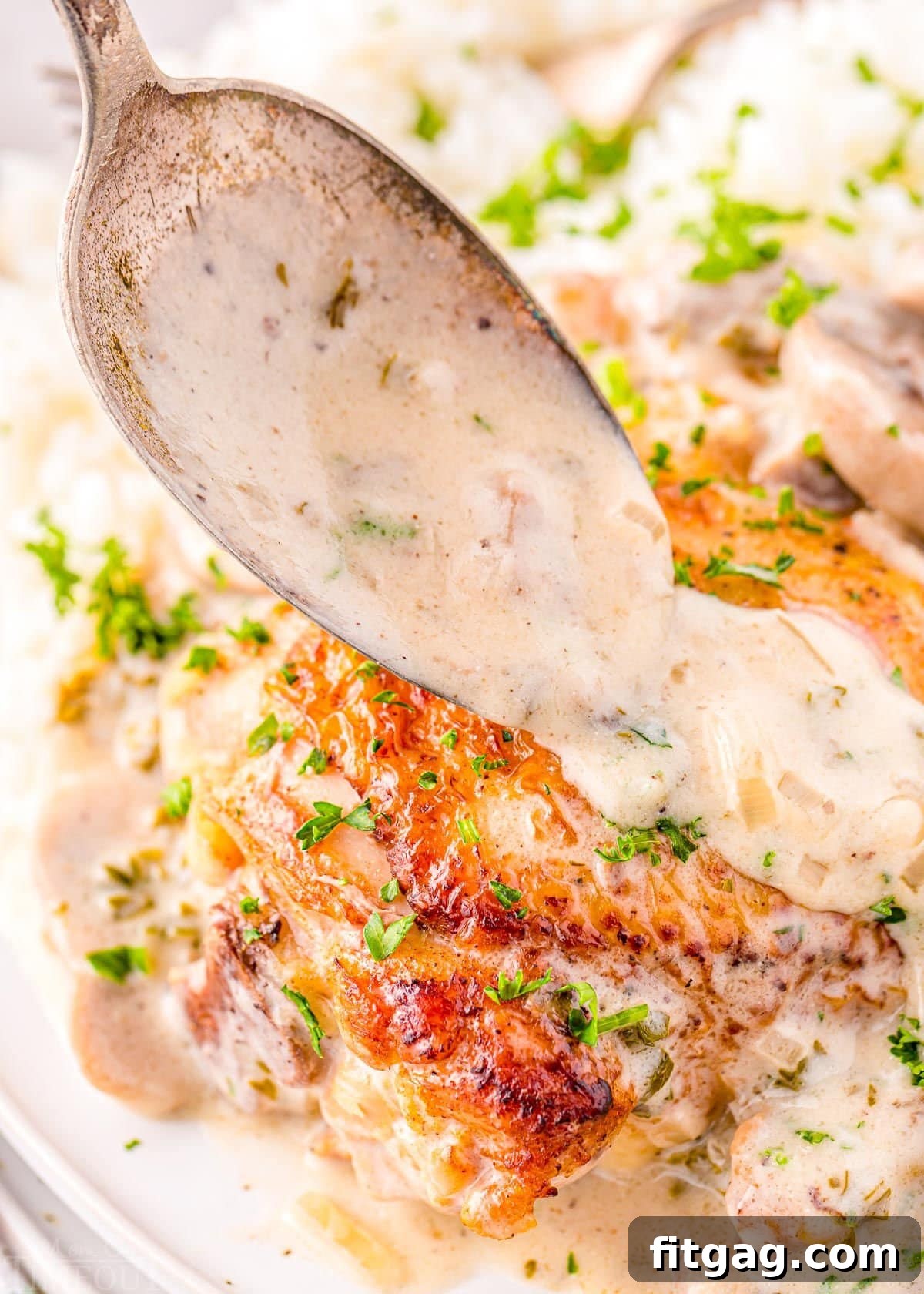 Creamy Chicken Comfort 3 A close-up shot of a golden-brown chicken thigh plated alongside fluffy white rice, with a spoonful of the exquisite white wine and mushroom sauce being artfully drizzled over the top. A garnish of fresh parsley adds a touch of elegance to the comforting meal.