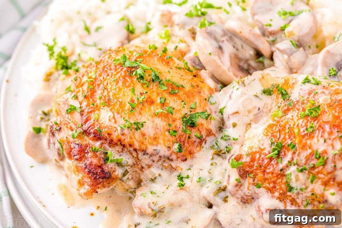 Tender Chicken in Velvety Sauce 6 two pieces of chicken plated with white rice and a white wine mushroom sauce and garnished with parsley.