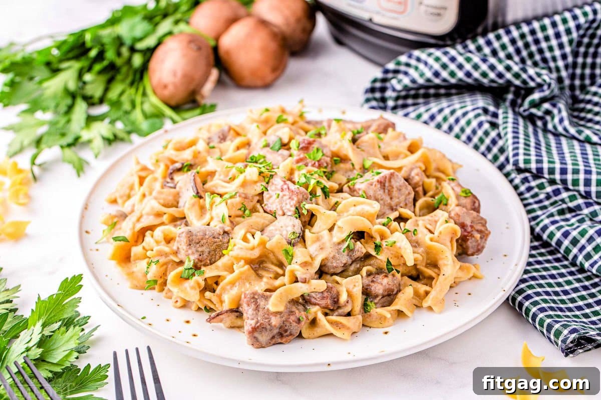 Plated beef stroganoff with a black checkered napkin next to it. Fresh parsley is scattered to the side of the plate and also used as a garnish over the stroganoff for visual appeal.