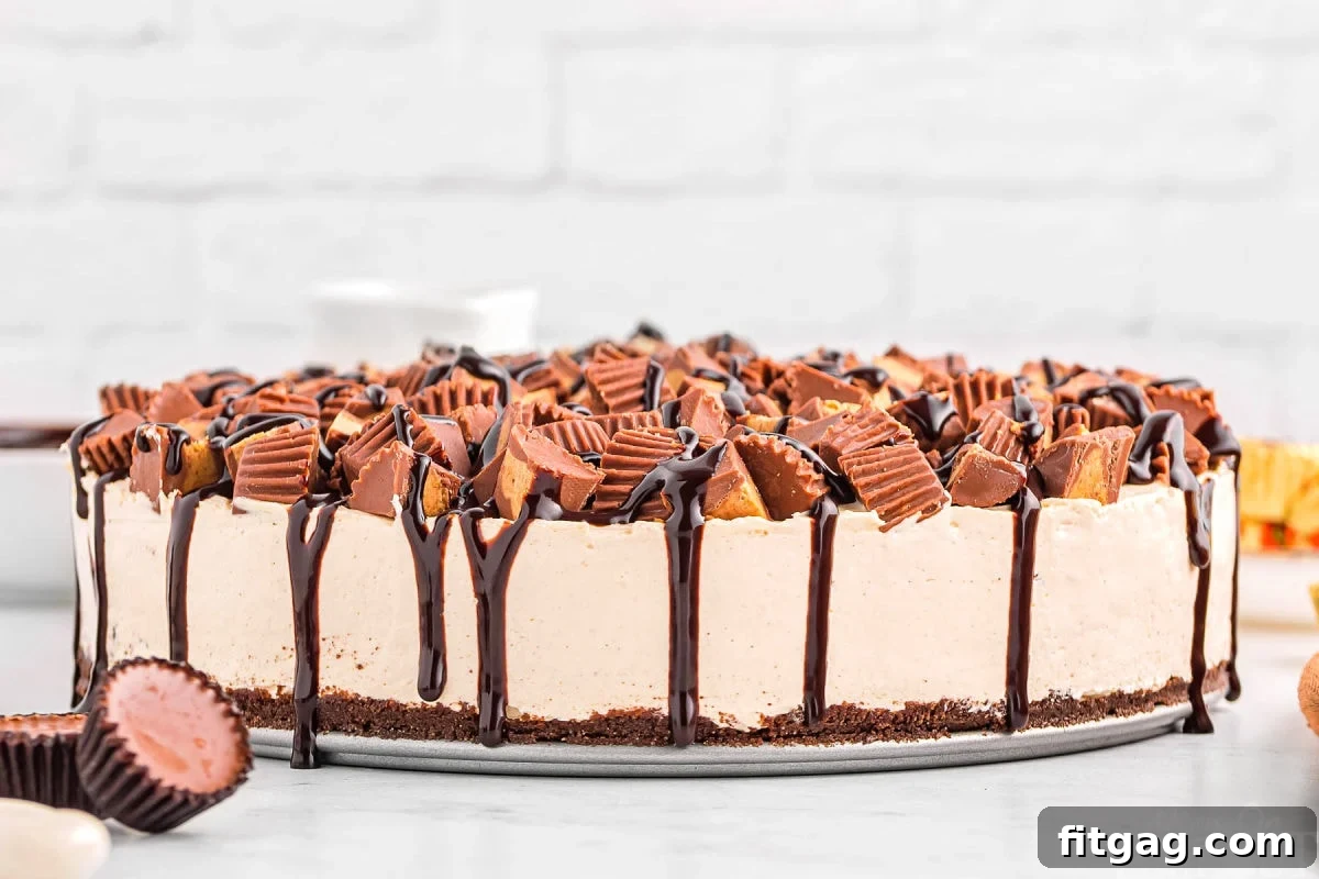 A magnificent whole peanut butter cheesecake, adorned with scattered Reese's candies and a glistening hot fudge drizzle, presented on a pristine white surface, ready to be sliced and savored.