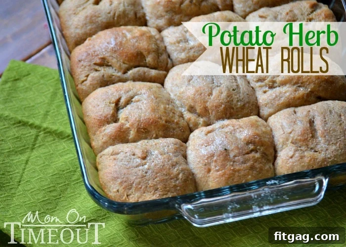 Close-up of baked Easy Homemade Potato Herb Whole Wheat Rolls, golden brown and fluffy, ready to be slathered with butter. A comforting side dish. #homemaderolls #potatoherbbread #wholesomebaking