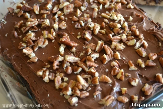 Pan of Zucchini Brownies with Chocolate Frosting and Nuts