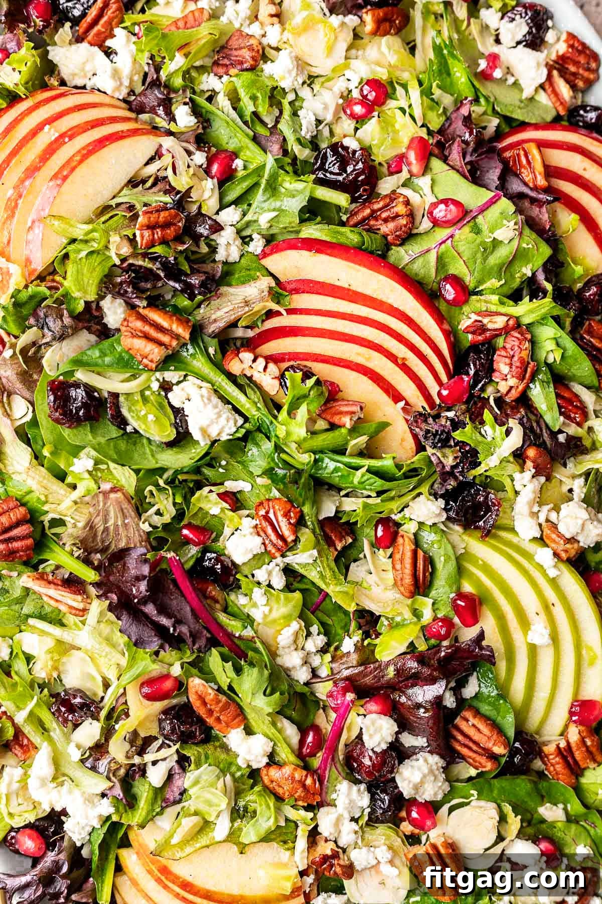 close up look at apple salad made with brussels sprouts and cranberries.