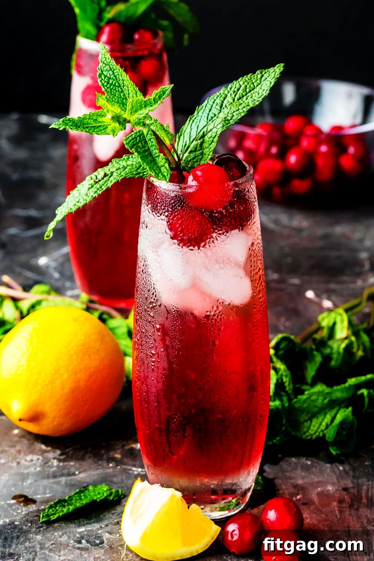 Crimson Gin Sparkler 2 Two Cranberry Gin Cocktails adorned with fresh cranberries and a large sprig of mint. Sliced lemons are artfully arranged around the glasses, suggesting a fresh, zesty flavor.