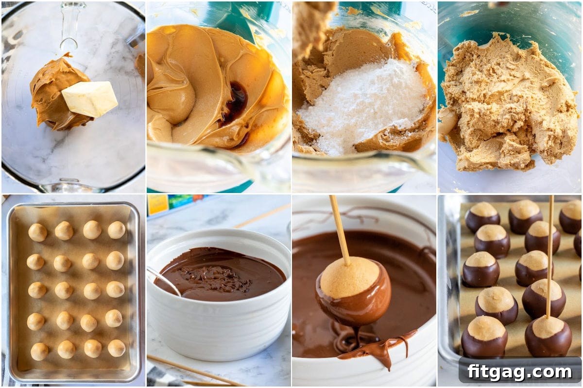 Ohio's Buckeye Story 6 An eight-image collage providing a clear, step-by-step visual guide on how to expertly make buckeyes, from start to finish.