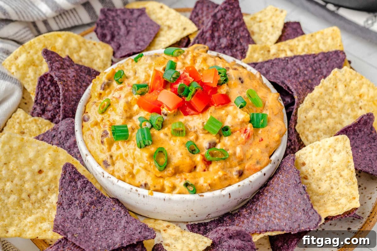 Irresistible Rotel Dip 6 rotel dip in white bowl topped with sliced green onions and diced tomatoes. bowl is sitting on a plate with purple and white tortilla chips.