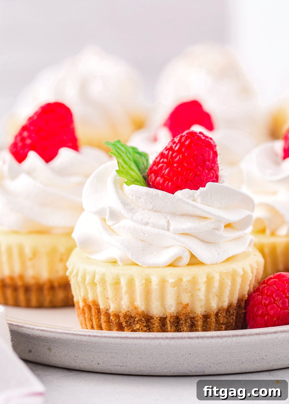 Mini cheesecakes topped with whipped cream, fresh raspberries, and a sprig of mint on a gray plate, showcasing their elegant presentation and vibrant colors.