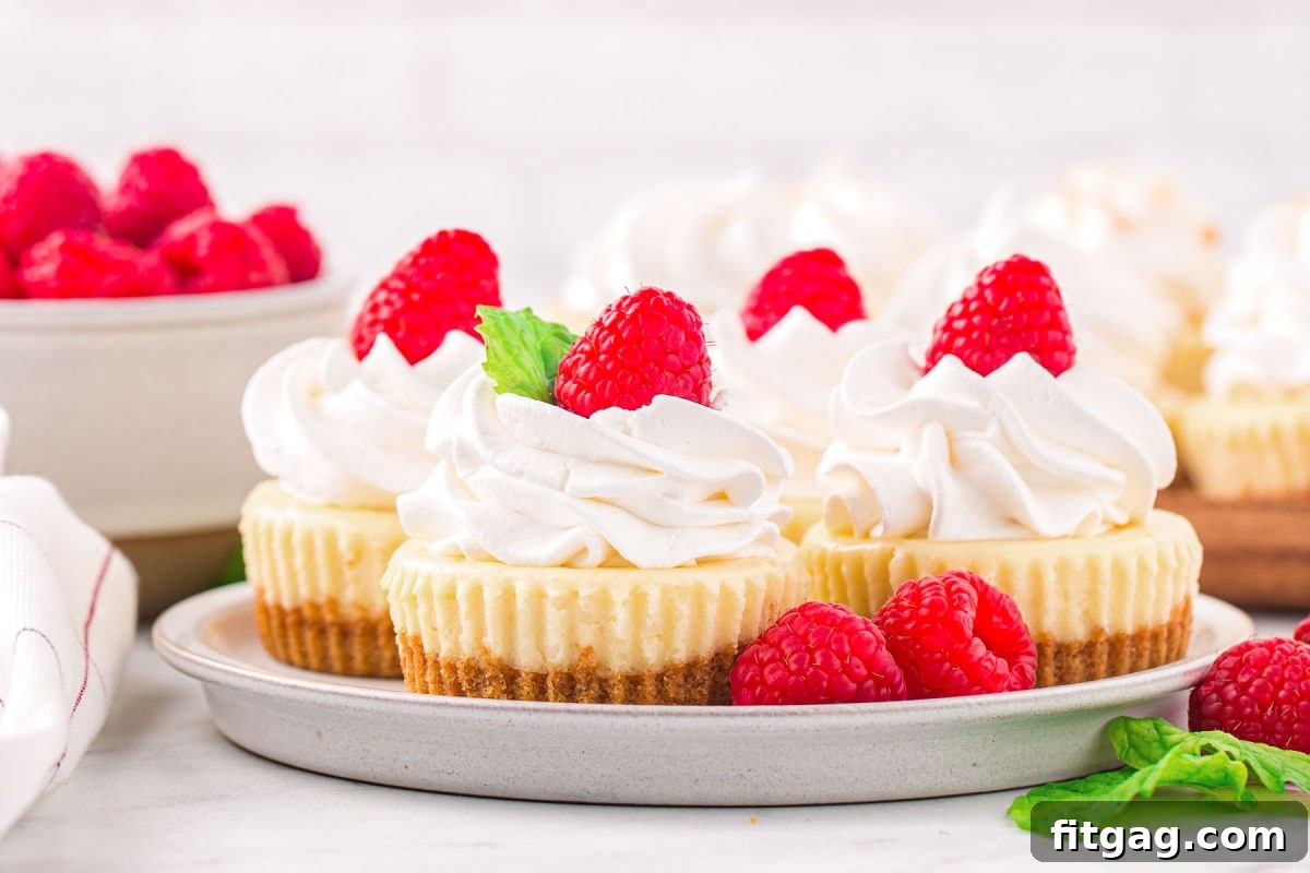 Four mini cheesecakes, elegantly garnished with whipped cream and fresh raspberries, sit on a small gray plate. In the softly blurred background, a bowl brimming with raspberries suggests an abundance of fresh fruit.