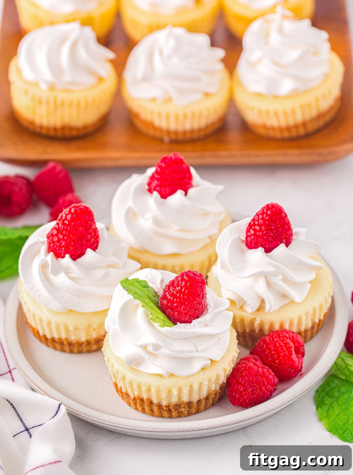 A top-down angled view captures four mini cheesecakes on a white plate, each crowned with whipped cream and fresh raspberries. In the background, softly blurred, six more mini cheesecakes rest on a rustic wooden board, ready to be enjoyed.