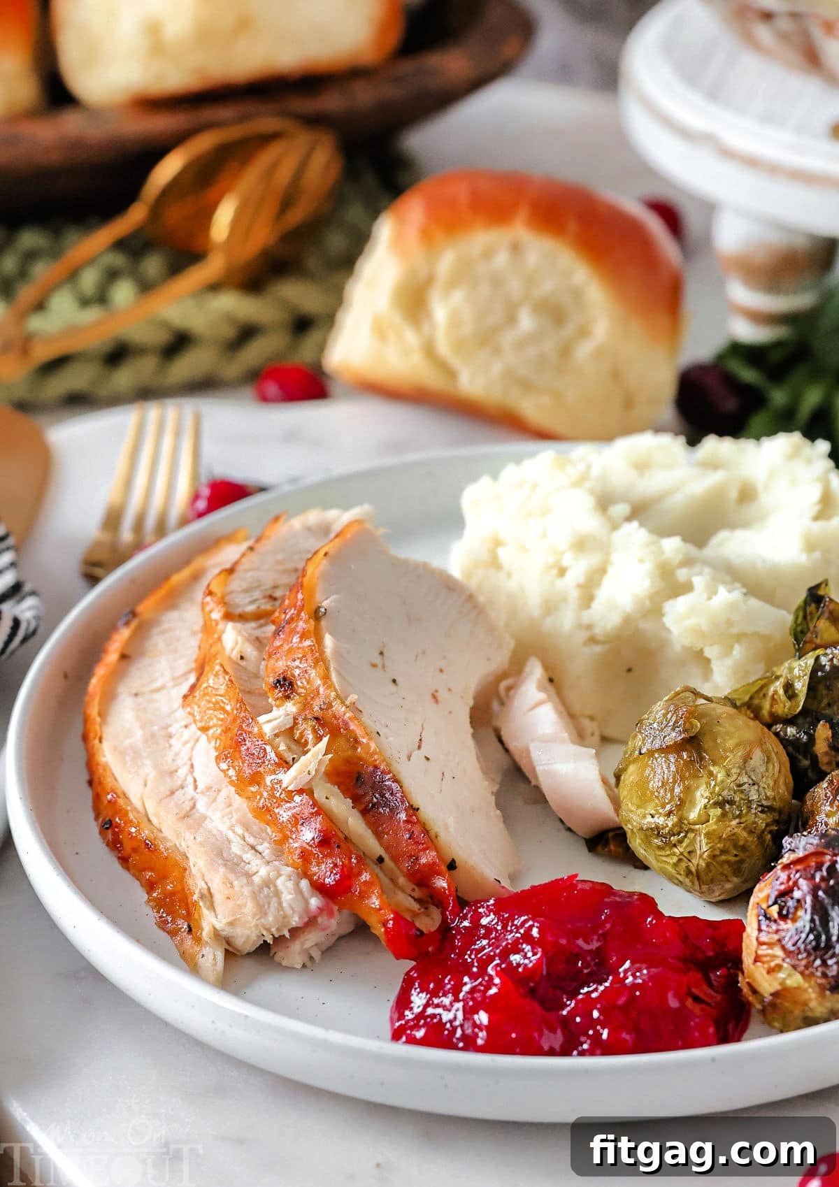 Unlock the Juiciest Thanksgiving Turkey 11 Turkey recipe plated with cranberry sauce and mashed potatoes on a round white plate.