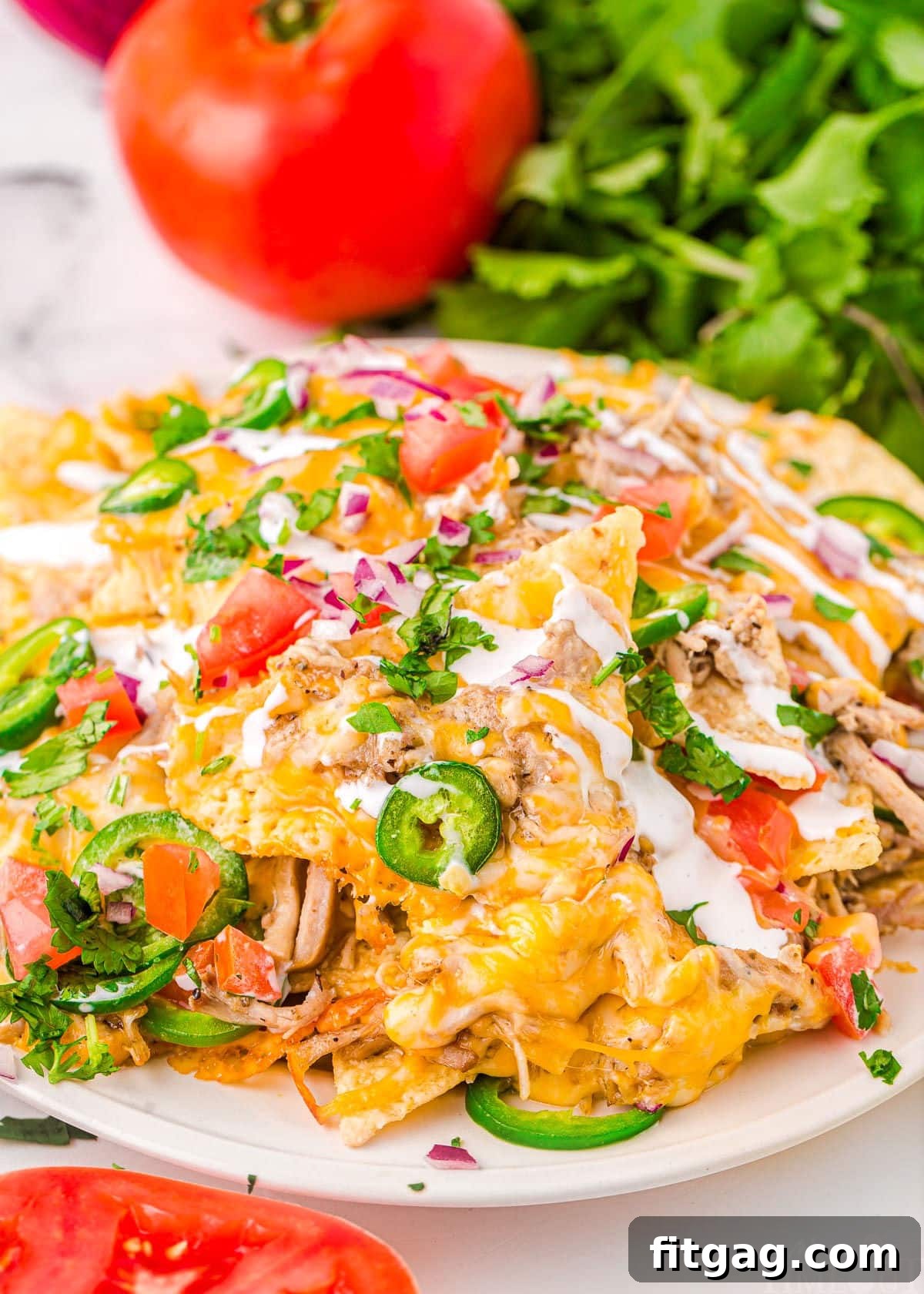 A round white plate piled high with golden pulled pork nachos, richly topped with creamy sour cream, vibrant sliced jalapenos, fresh diced tomatoes, and thinly sliced red onions. A whole fresh tomato and cilantro sprigs sit gracefully in the soft-focus background, hinting at the fresh ingredients.