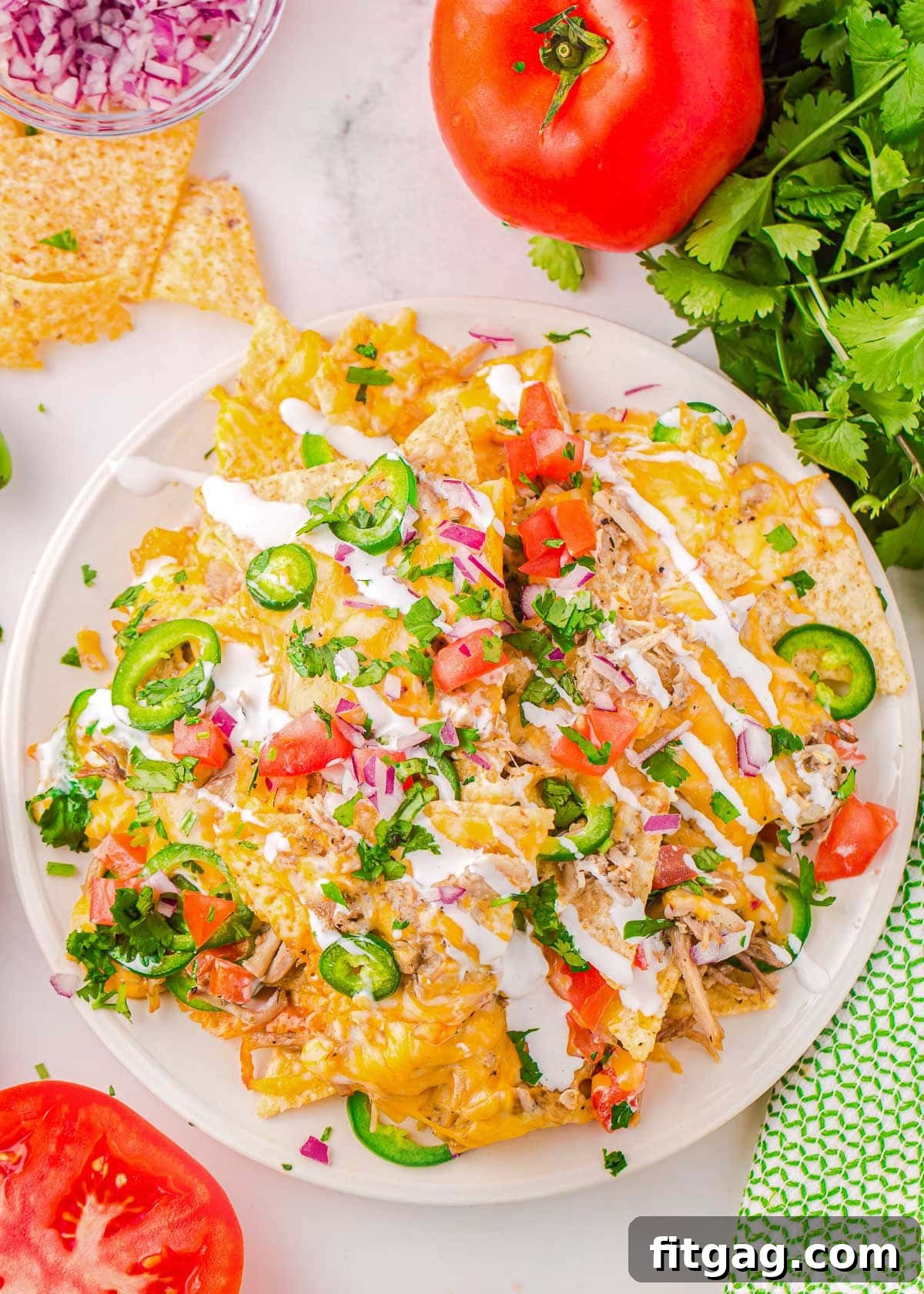 A top-down detailed view of a round white plate brimming with freshly baked pulled pork nachos, adorned with a variety of colorful and fresh toppings, ready to be enjoyed as a complete meal.