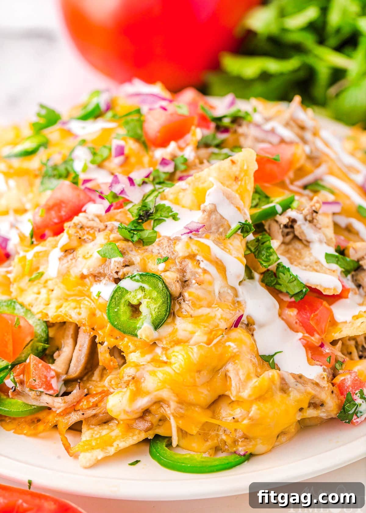 A round white plate abundantly loaded with pulled pork nachos, artfully garnished with a generous dollop of sour cream, bright green cilantro, vibrant red tomatoes, and spicy green jalapenos. A fresh, whole tomato and cilantro sprigs blur pleasantly in the background.