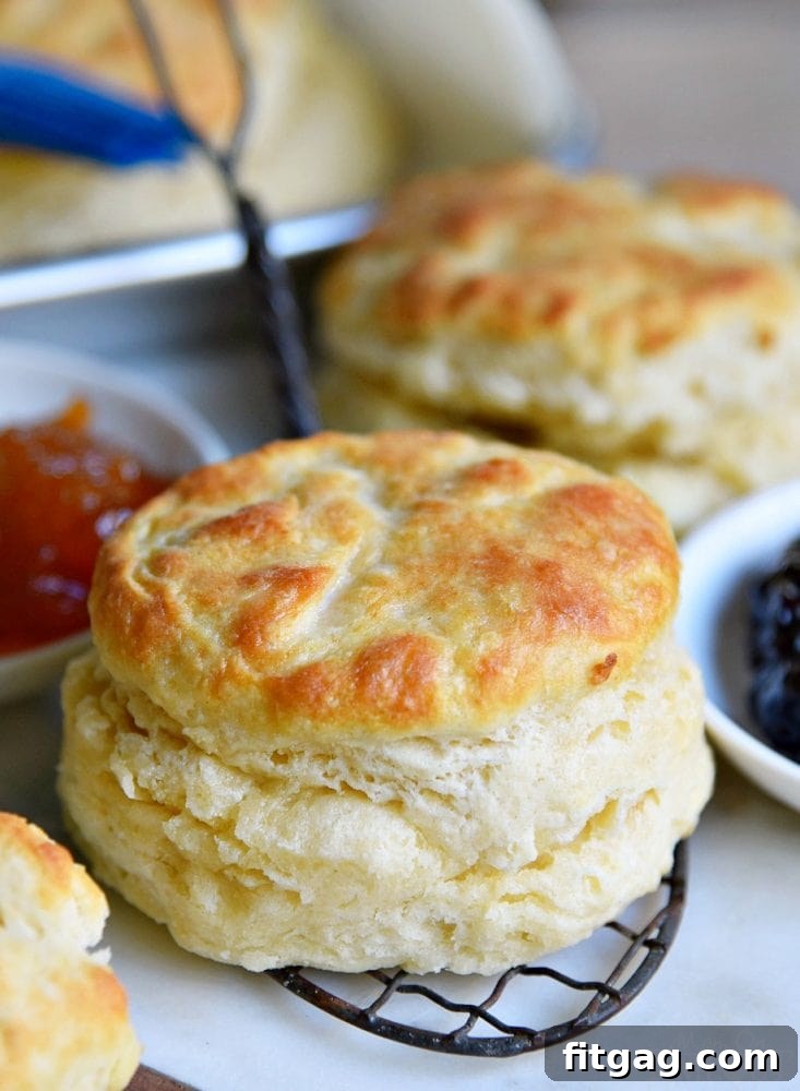 The BEST Homemade Biscuit Recipe: Soft, Fluffy, From Scratch in 15 Minutes Delicious, fluffy homemade biscuits ready to be served