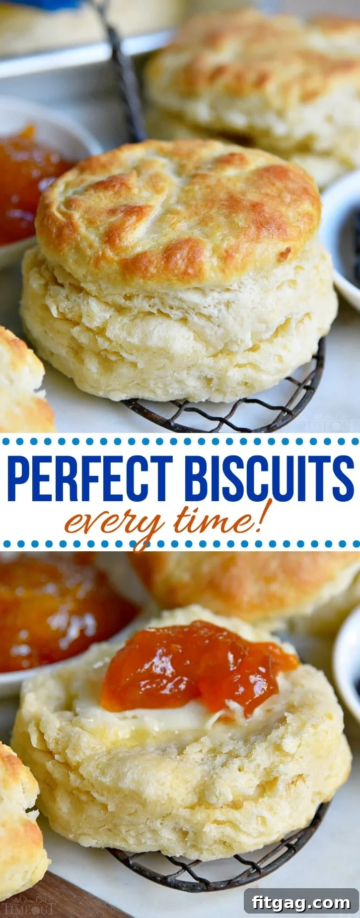 Homemade Biscuit Recipe: Step-by-Step Visual Guide Collage of delicious homemade biscuit recipe steps and finished product